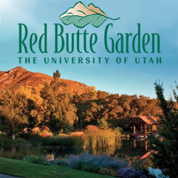 red butte