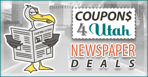 Newspaper Deal 289