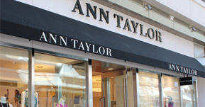 Ann Taylor 289