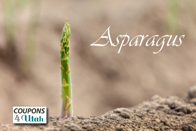 Asparagus Recipe Ideas