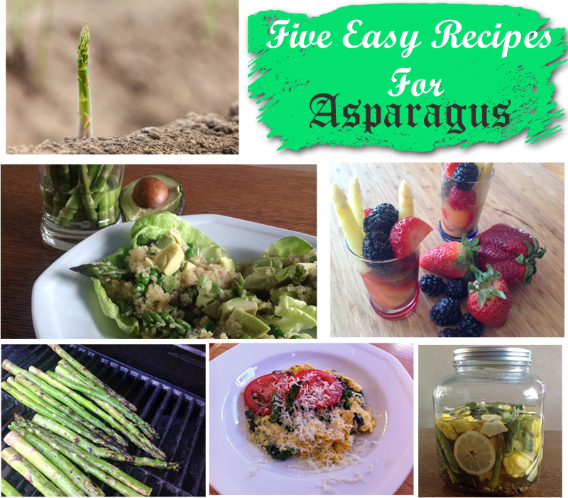 Recipes for Asparagus