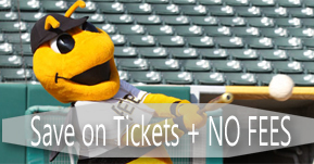 bees tickets 289