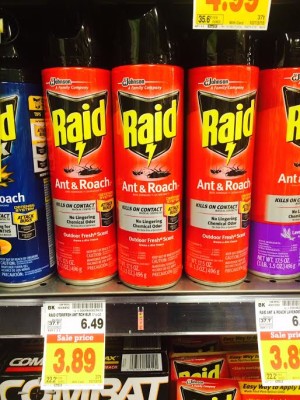 raid spray