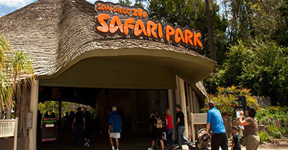 San Diego Zoo Safari Park Coupon | Coupons 4 Utah