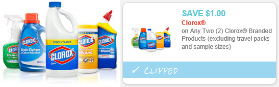 clorox products