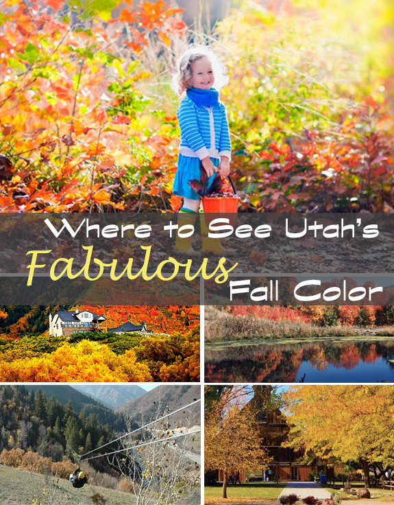 Where to See Fall Leaves in Utah - Coupons4Utah
