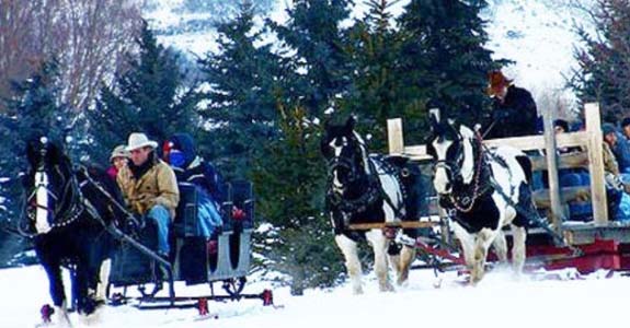 santa sleigh ride