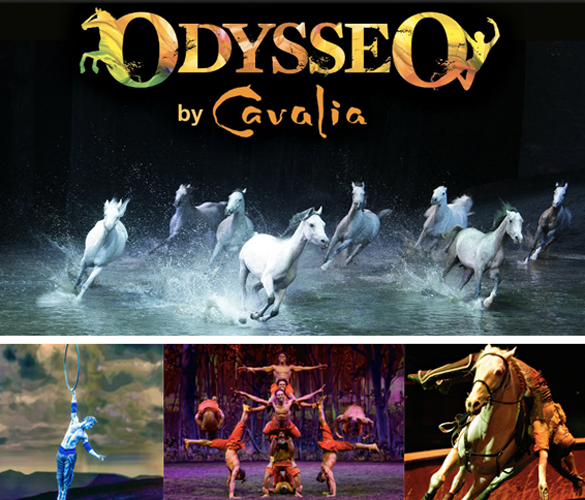 Cavalia Odysseo review