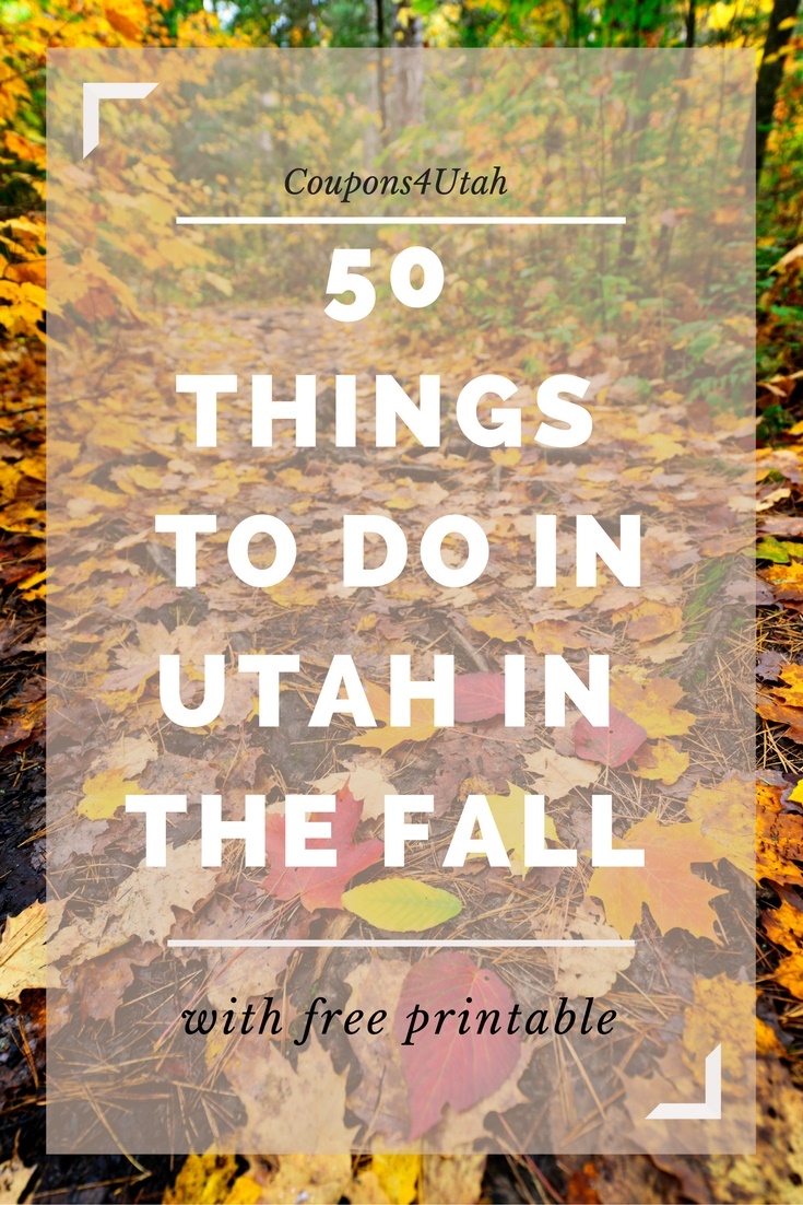 50 Cheap or Free Things to Do in Fall