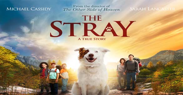 Review: The Stray Movie | Coupons 4 Utah